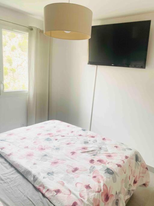 Luxueux T3 Piscine Et Vue Somptueuse Lejlighed Sète Eksteriør billede